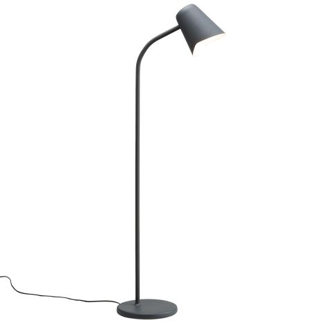 Me_grey_Northern_ilumia