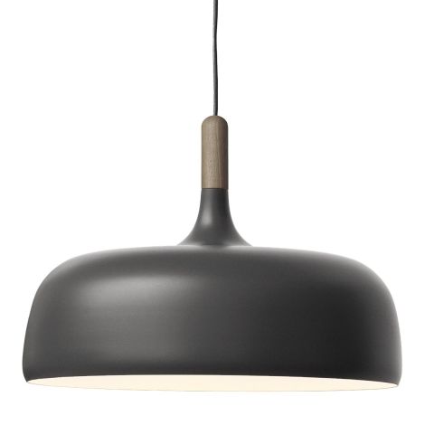 Acorn_grey_northern_ilumia