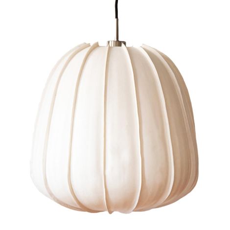 Ay_illuminate_170.101.05_Hozuki_small_ilumia