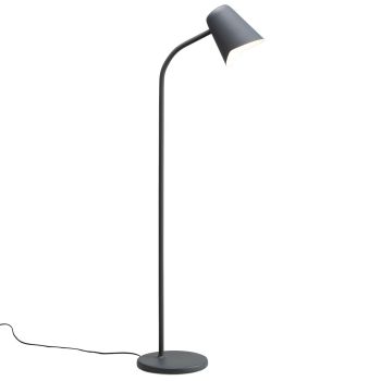 Me_grey_Northern_ilumia