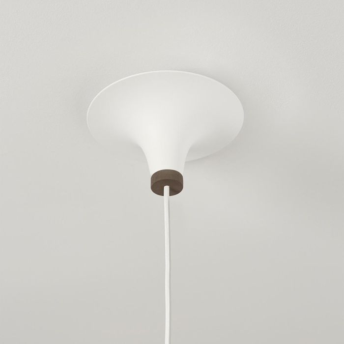 Acorn_white_dark_walnut_northern_ilumia_