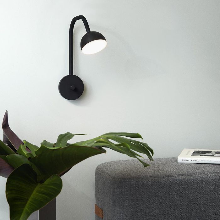 Blush_black_Northern_ilumia