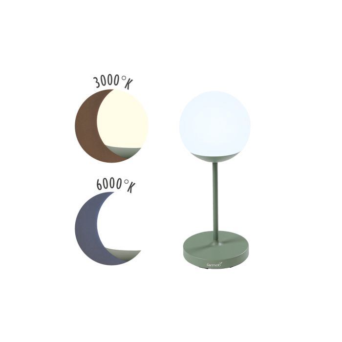 MOOON_LAMPE_H63_CACTUS