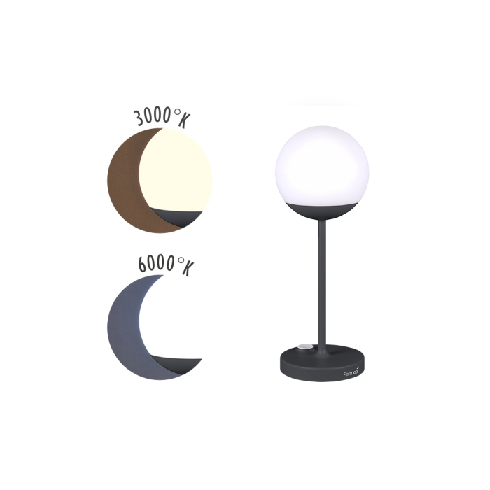 MOOON_LAMPE_H41_LUM_FROIDE_CARBONE