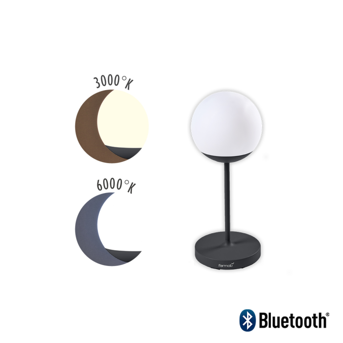 MOOON_LAMPE_H63_CARBONE