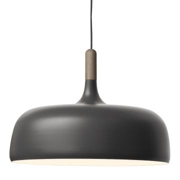 Acorn_grey_northern_ilumia